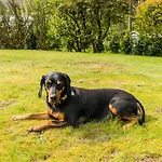 Friends & Family Domizil 아파트 *