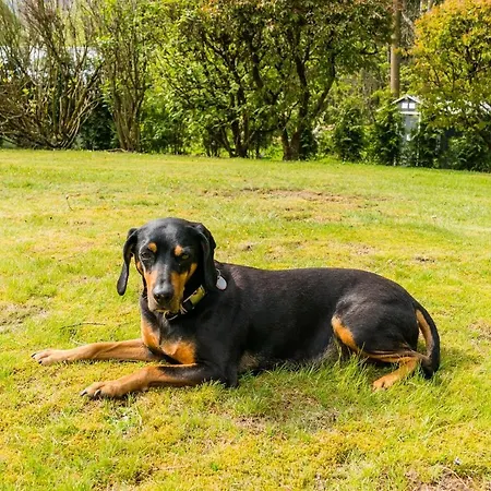 Friends & Family Domizil Апартаменты *