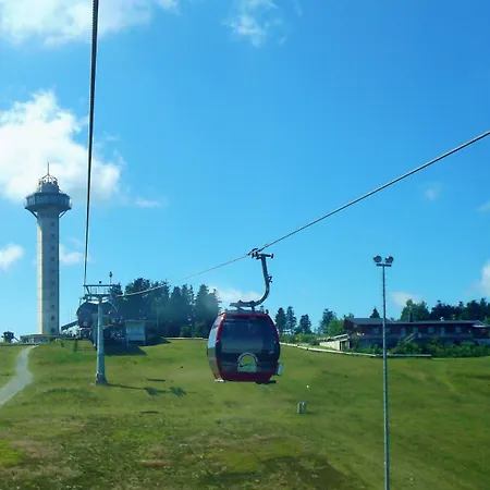 Apartment Friends & Family Domizil *