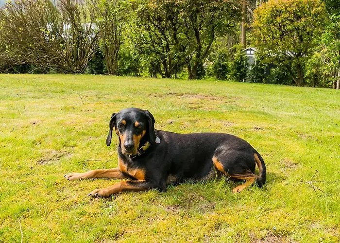 Friends & Family Domizil Apartment *